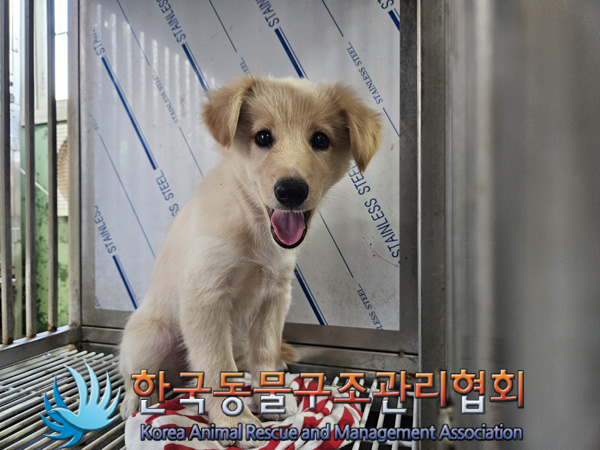 한국동물구조관리협회_411315202400599